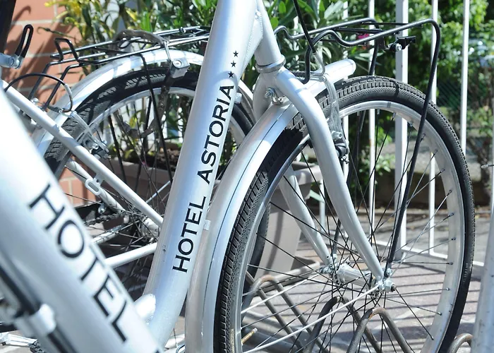 酒店 阿斯托瑞亚酒店 3*